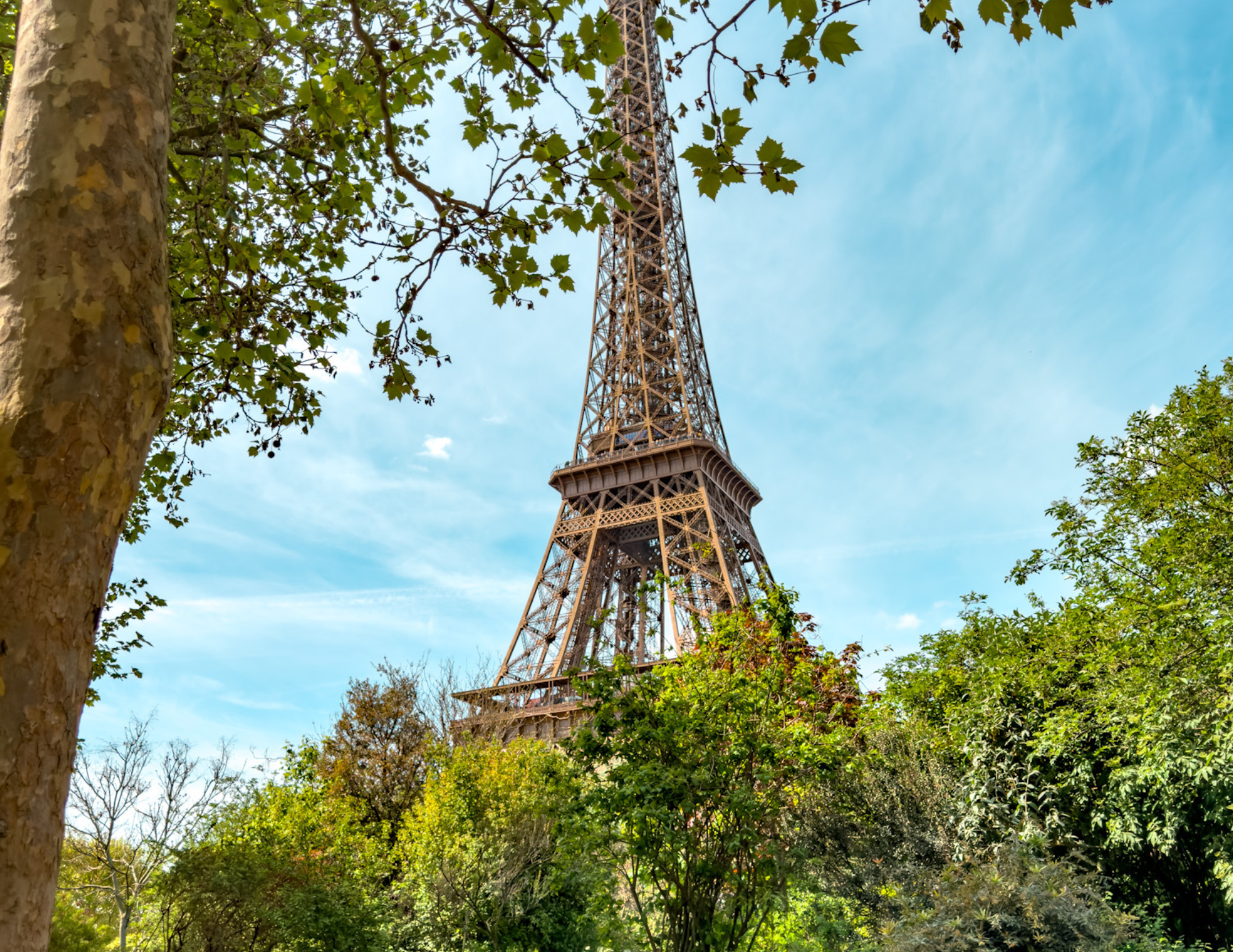 Paris Travel Guide (2).png